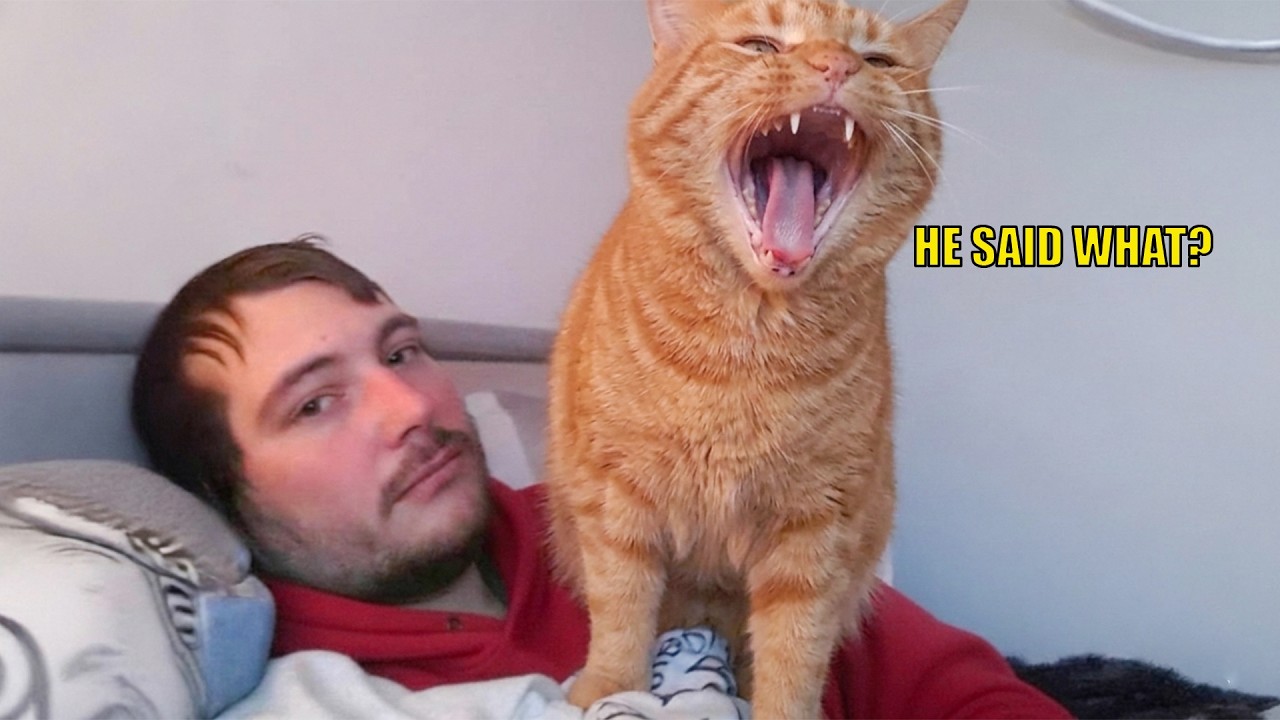 My Cat Talks Back Like a Human 😂🐱 | Funny Talking Cat