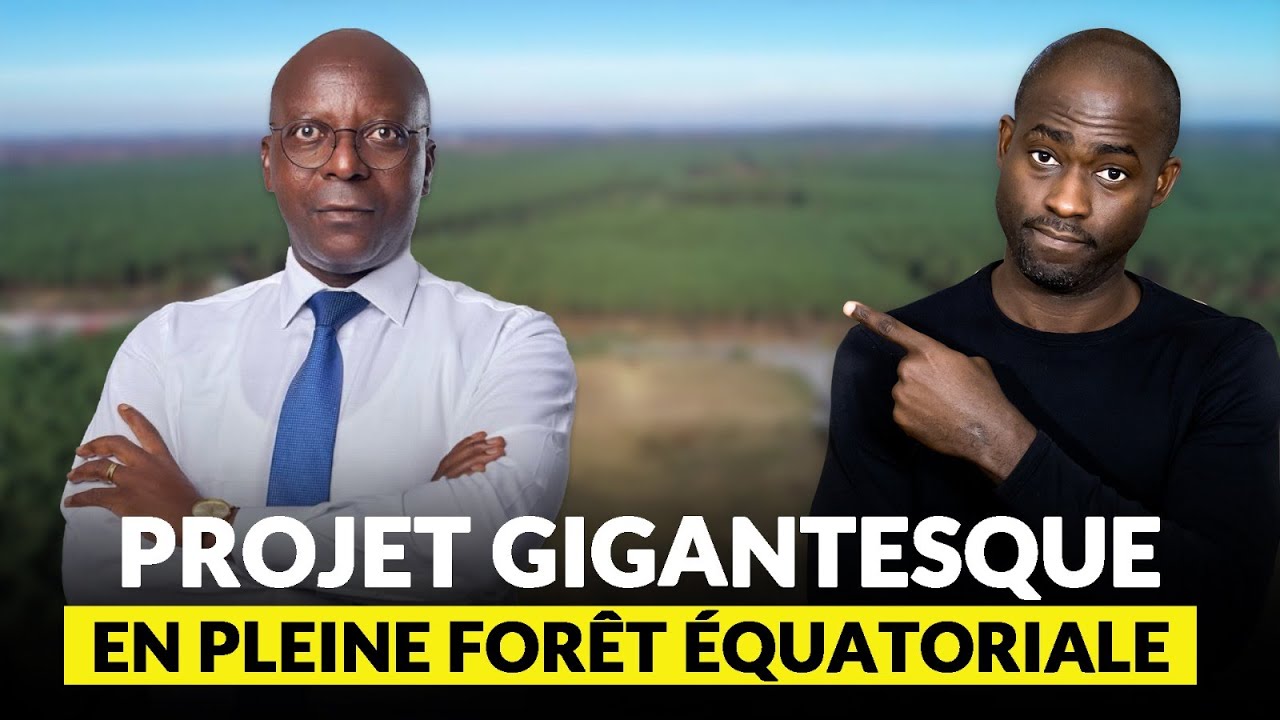 Projet GIGANTESQUE en pleine forêt équatoriale : 8 bâtiments pour une usine de manioc Moderne