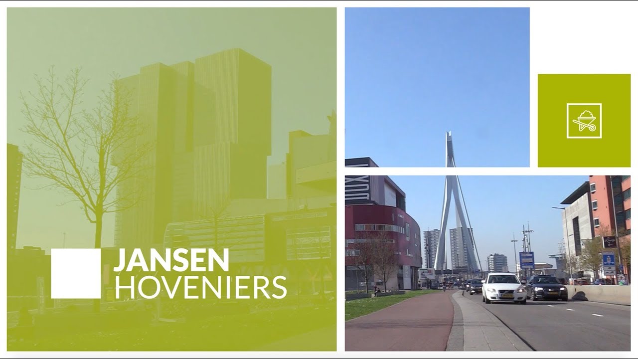 Aanleg daktuin Rotterdam | Jansen Hoveniers