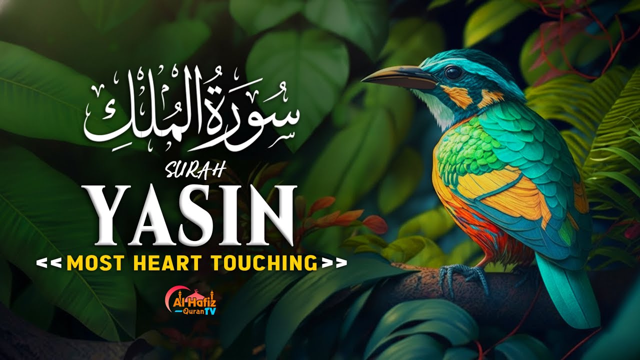 Surah Yasin Yaseen سورة يس  Relaxing heart touching voice  | AFIZAIRA Entertainment