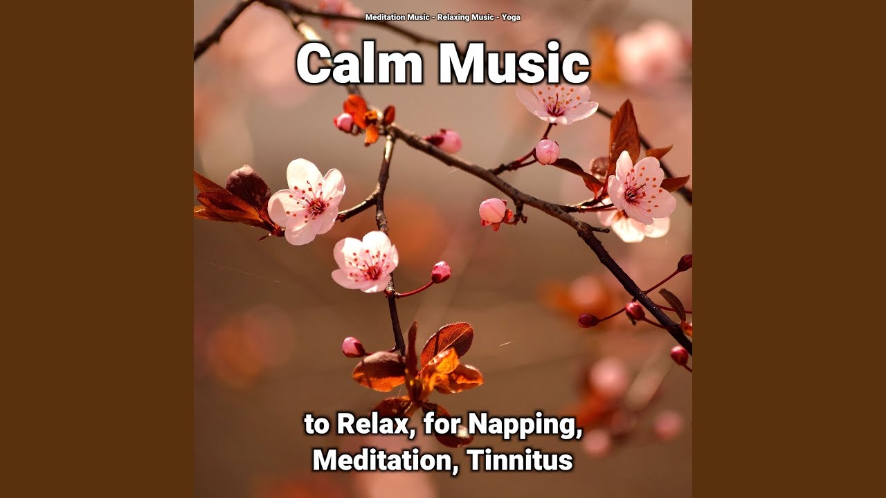 Mindfulness Audio