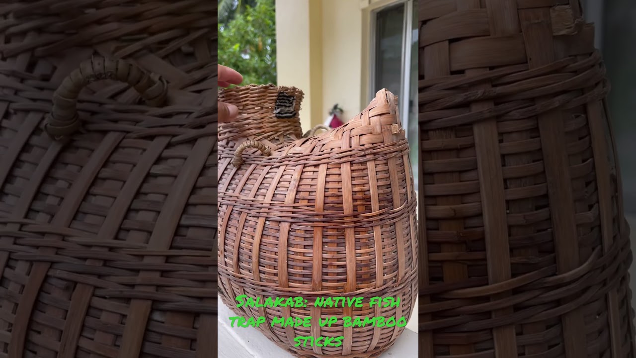 Salakab: Native Fish Trap Made Up Bamboo Sticks..
