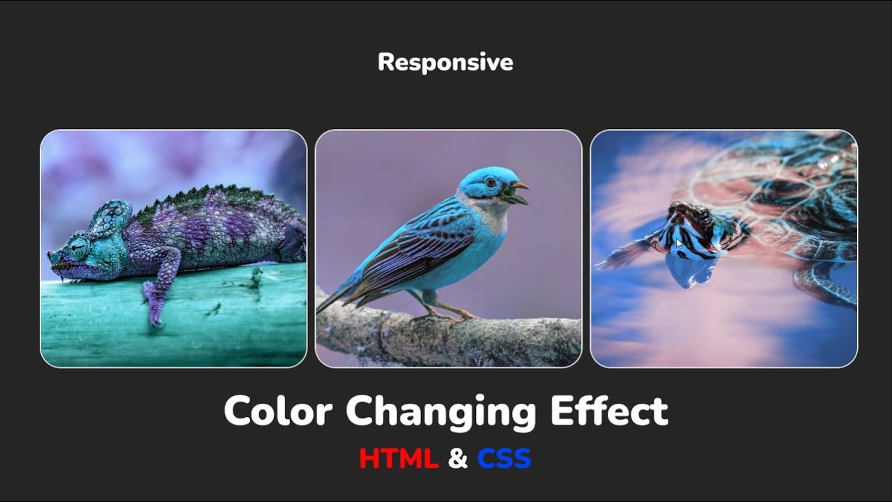 Адаптивный блок с эффектом изменения цвета для изображений HTML & CSS || Color Changing Effect CSS