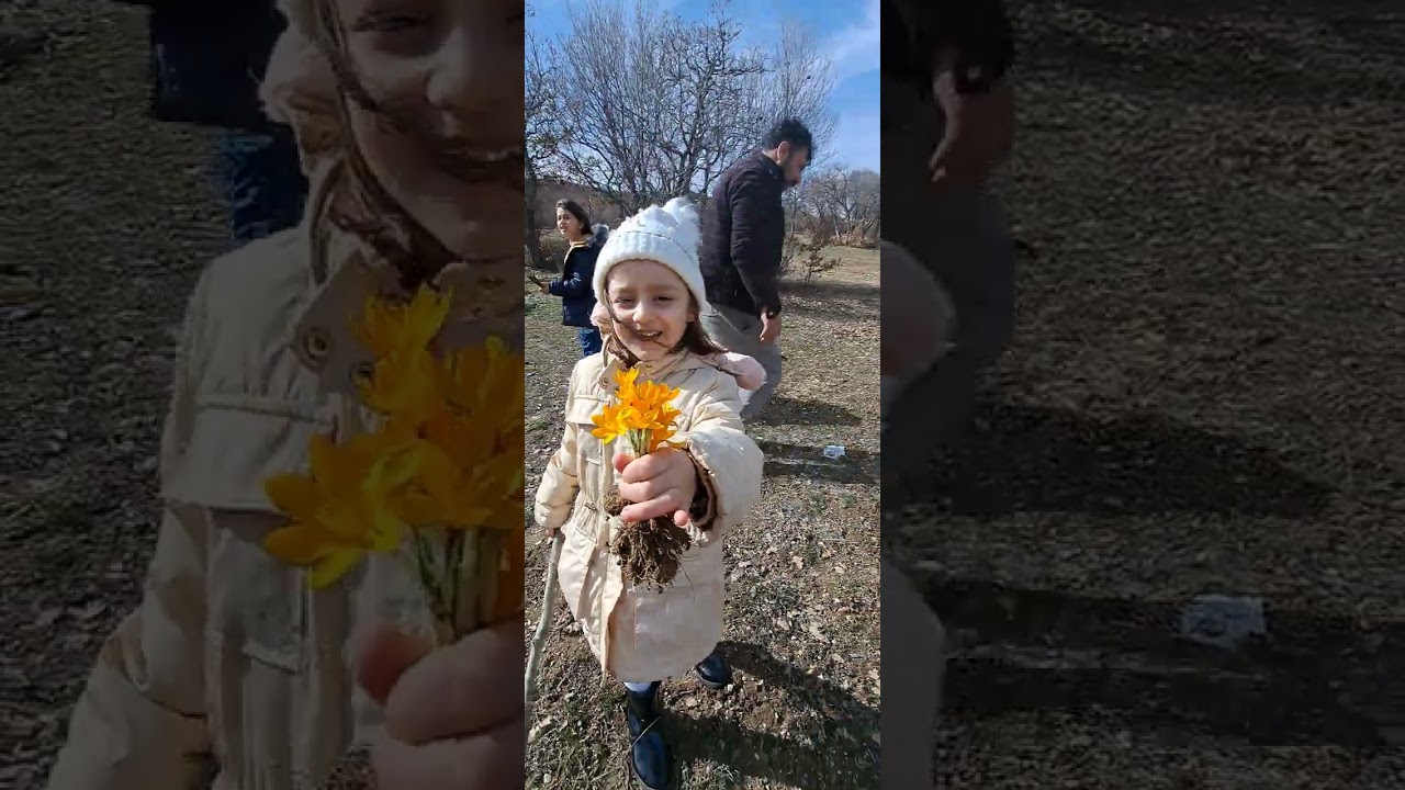 @ZeyZeyKardesler kardeşler kuzenler Çiğdem ve doğayla hayat buluyor 
