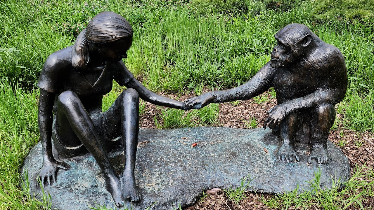 IFAW and Dr. Jane Goodall