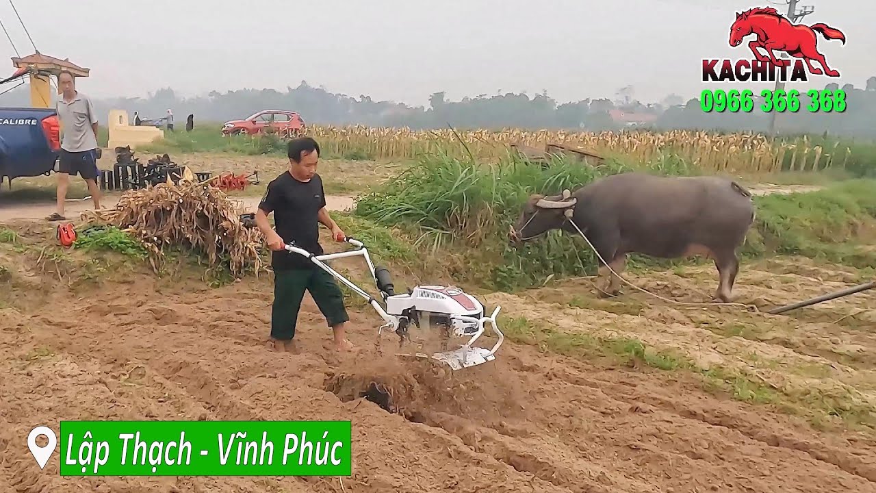Gấp 20 Lần Trâu Máy Xới Đất Kachita Lên Luống Êm Khỏe Nhanh Tại Vĩnh Phúc