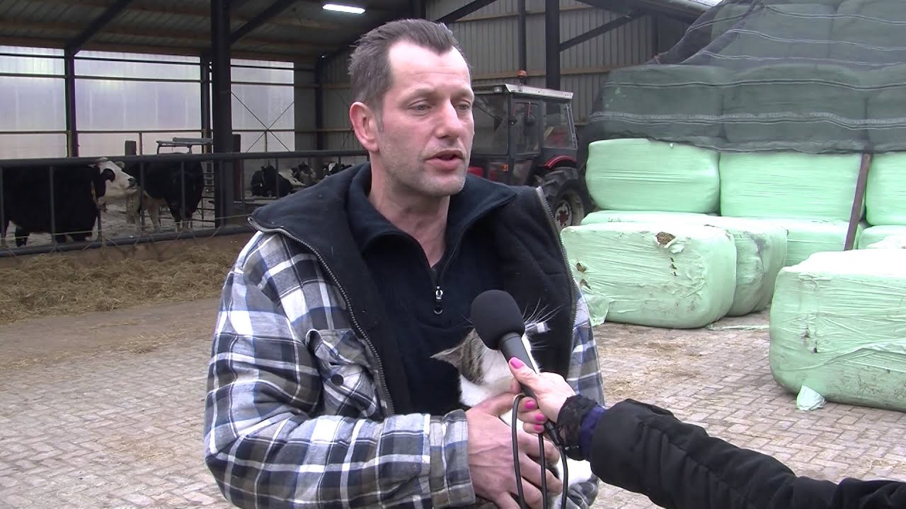 mensen: Bert Hollander, koeienrusthuis Zandhuizen