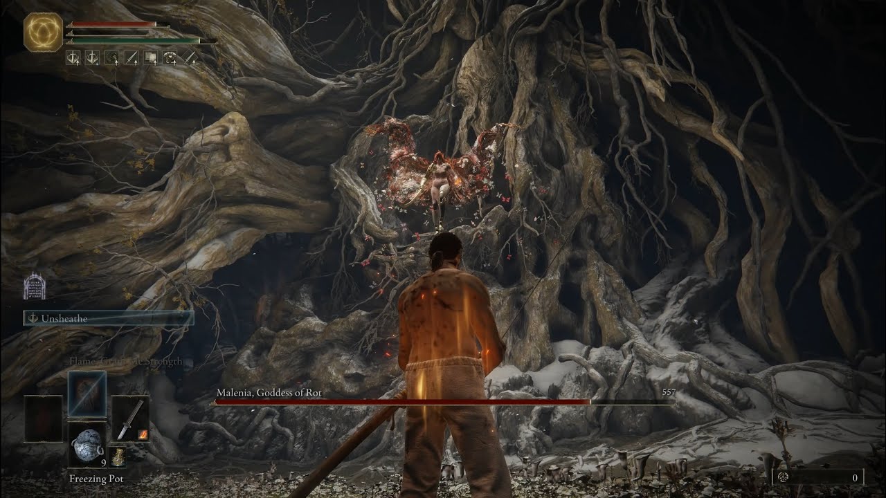 Elden Ring RL1 Malenia (solo, 1 hit, no heal)