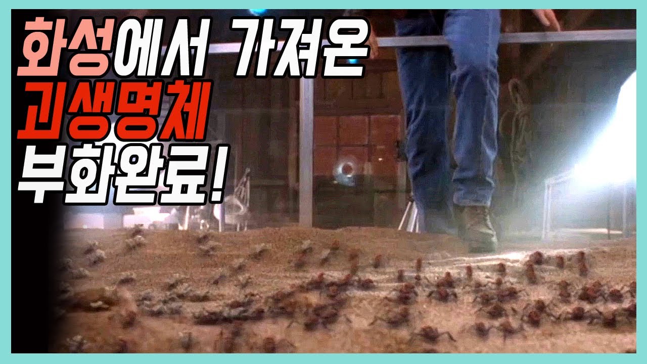 🎬외계생명체를 번식시킨 미친 과학자의 최후[판타지미드]