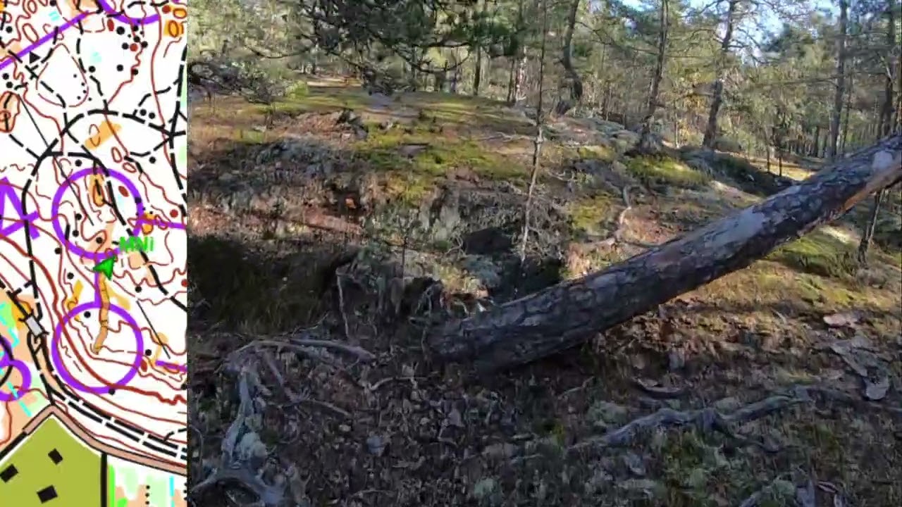 25-manna medeln i Upplands Väsby 12 oktober 2025