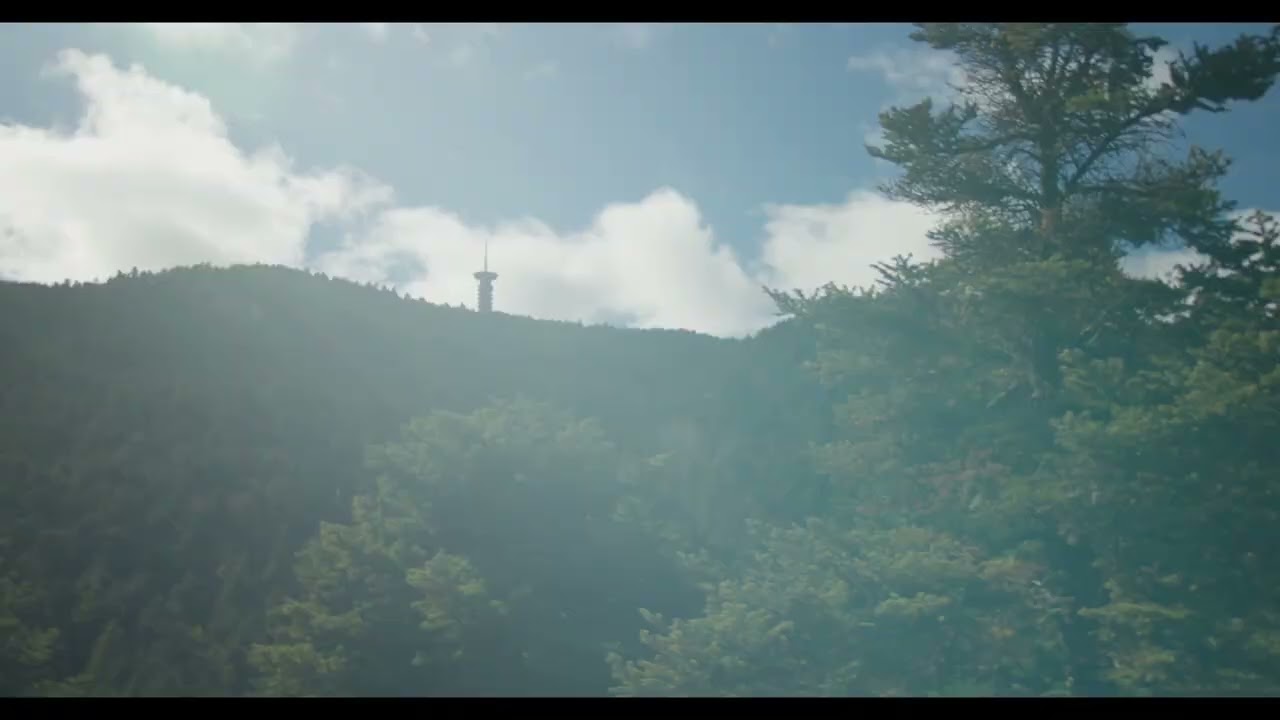 @ Parnitha National Park. Shot on BlackMagic Cinema Camera with DZOfilm Vespid Prime 21mm.