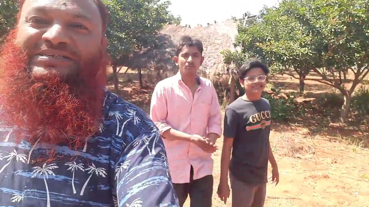 Sapote ke zahda Masha.allah in Wangimilla zabardast hai