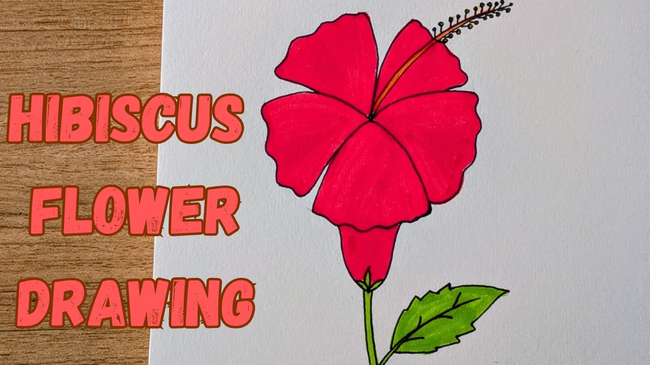 How to Draw a Beautiful Hibiscus Flower Step by Step 🌺 | Easy Flower Drawing for Kids