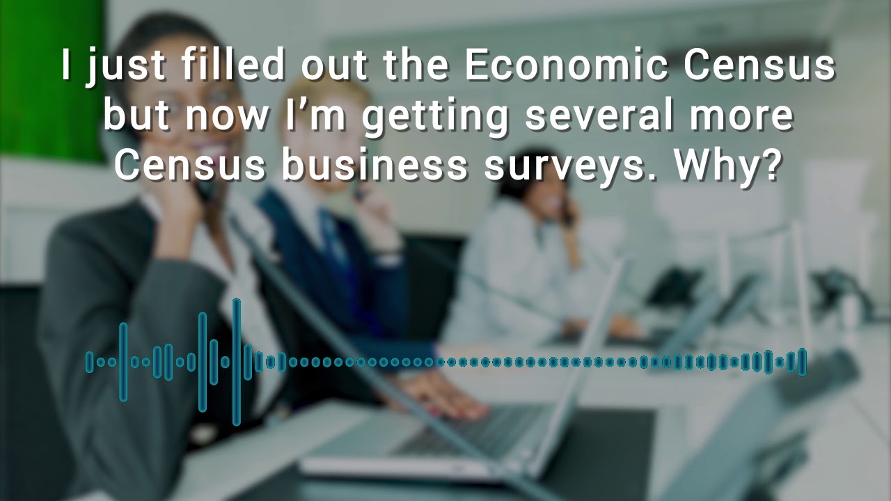 Who Knew? The Census Bureau Conducts Dozens of Business Surveys