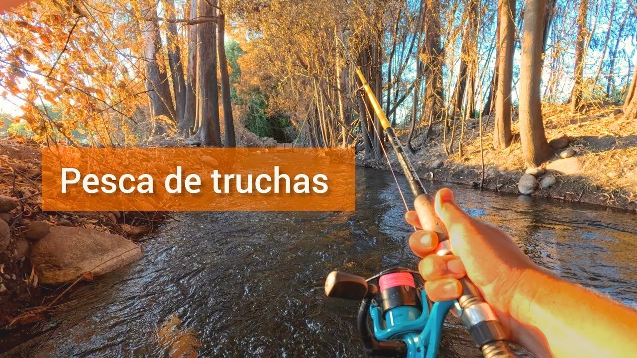 PESCA DE TRUCHAS con VINILOS en CANAL de REGADÍO