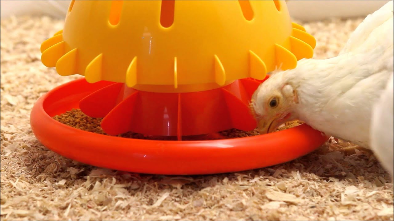 SKA Eos - Broiler Feeder