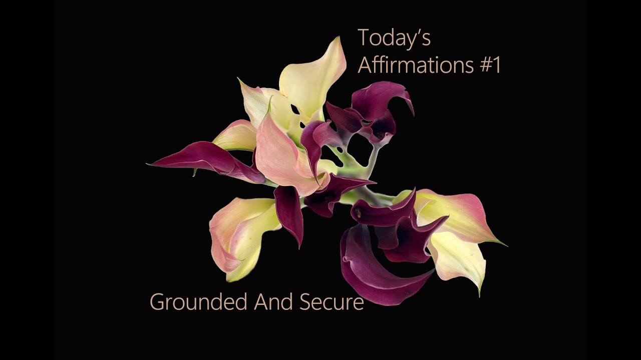 Today’s Affirmations #1 : Grounded And Secure