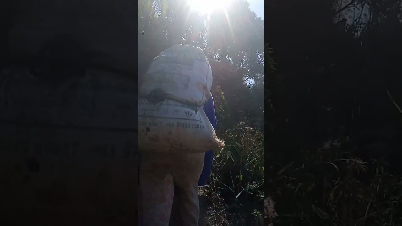 PACHI LA ÓMA &AHIA EIMA PHAONA..