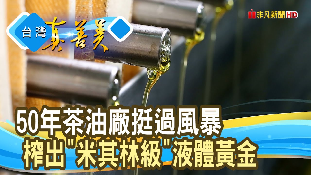 苦盡甘來的“良心苦茶油”｜金椿茶油工坊｜【台灣真善美】2023.12.31