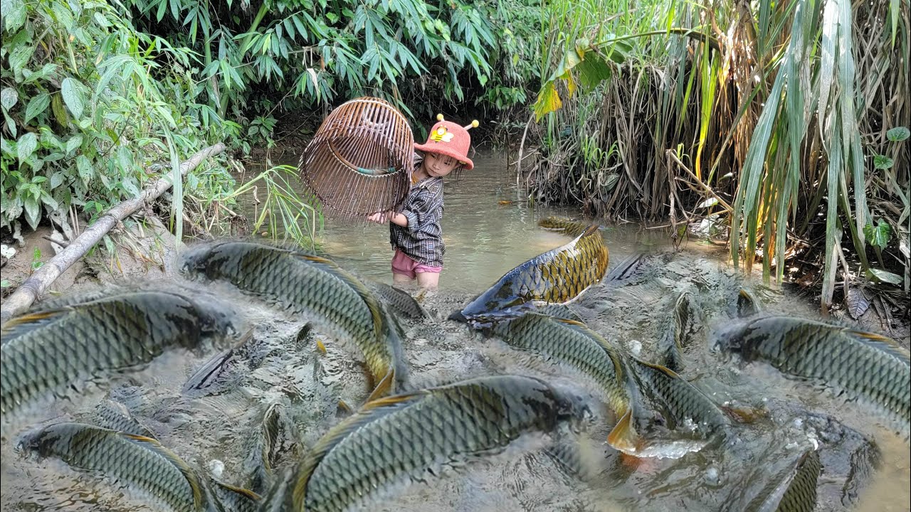 Giant fishing skills. The girl uses ancient tools to catch fish. Catch a lot of large fish