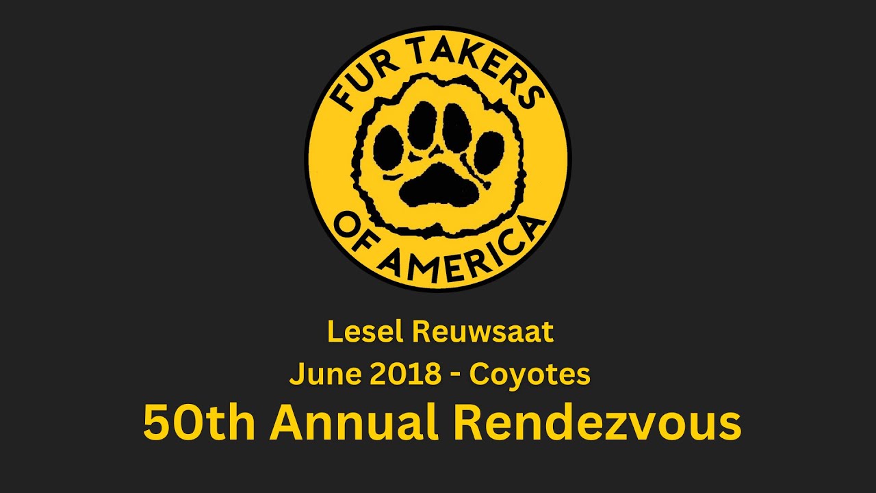 Demo Teaser #13 - Lesel Ruewsaat Talking Coyotes