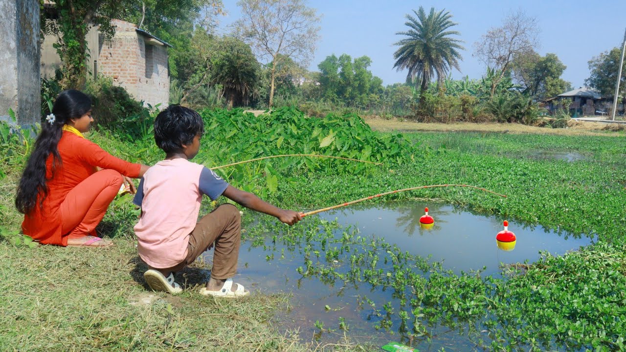 Fishing Video || It was really nice to see the fishing technique of brother and sister || Hook Trap