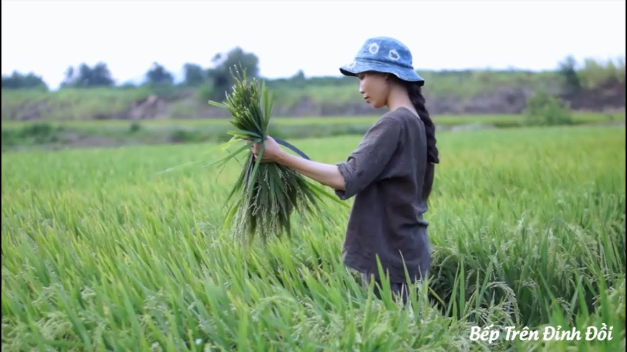 Cháo Gạo Nếp Xanh | Green Rice Porridge