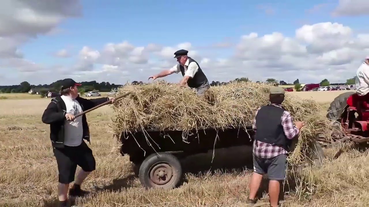 Sk&ouml;rdefest i Svenstorp