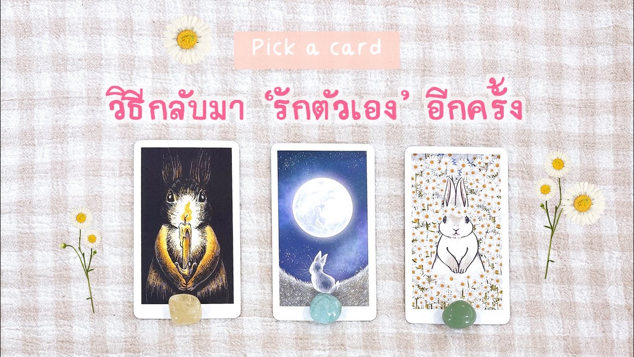 Purr Message 🐾 | วิธีกลับมา “รักตัวเอง” อีกครั้ง | Pick a Card