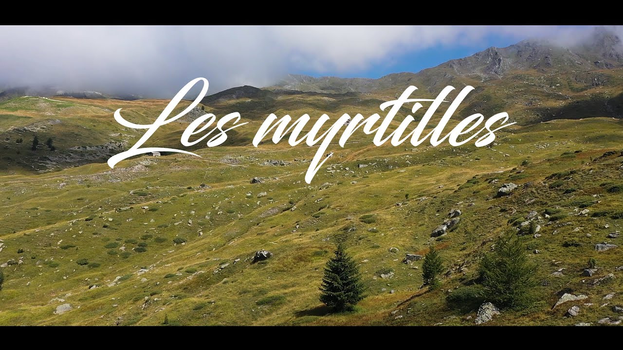 Les Myrtilles / Alpes / DJI Mavic 2 PRO