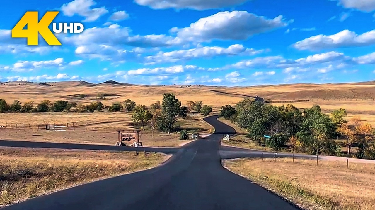 Custer State Park 4K Scenic Drive | Wildlife Loop Road Driving Tour