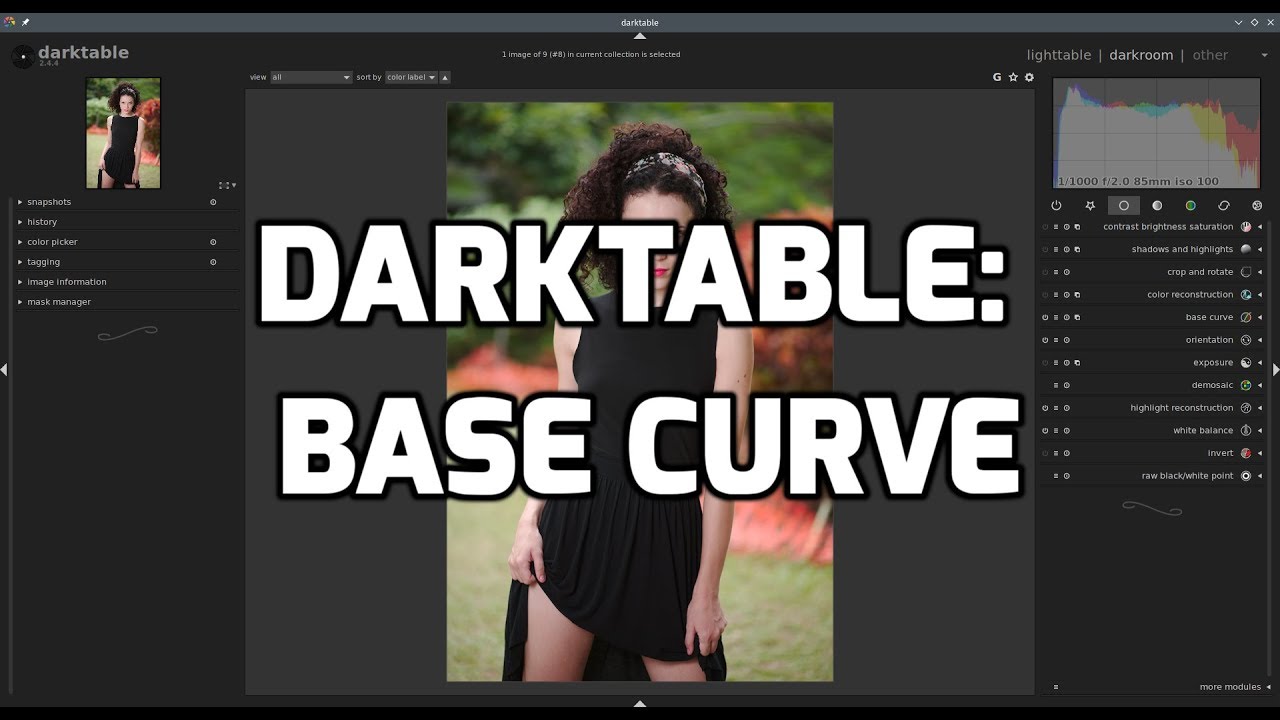 Darktable: Base curve