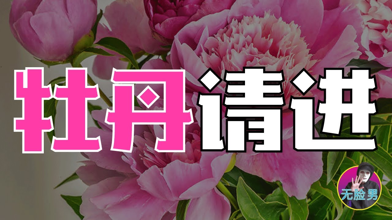 大学生谈恋爱影响学业？！ | 母胎单身一出社会就被催婚？！
