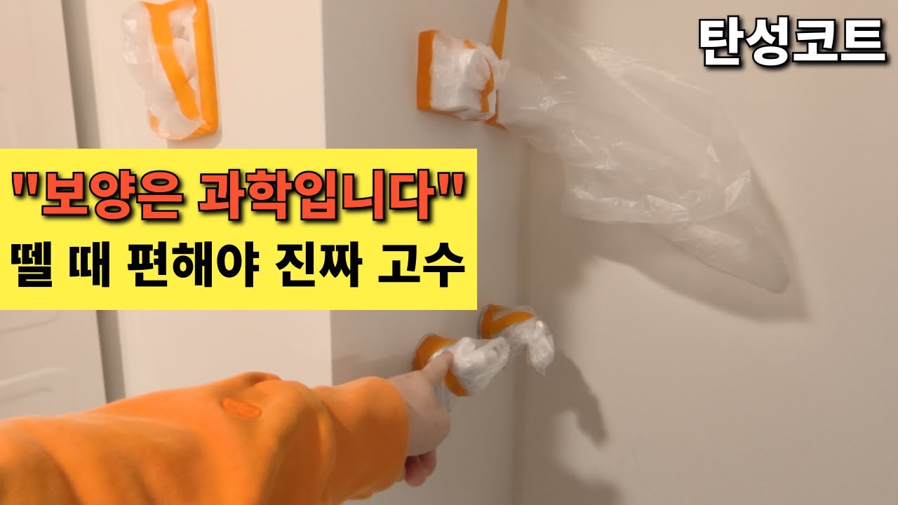 [현장기술] 전문가와 초보의 한 끗 차이! 뗄 때까지 생각하는 보양 스킬