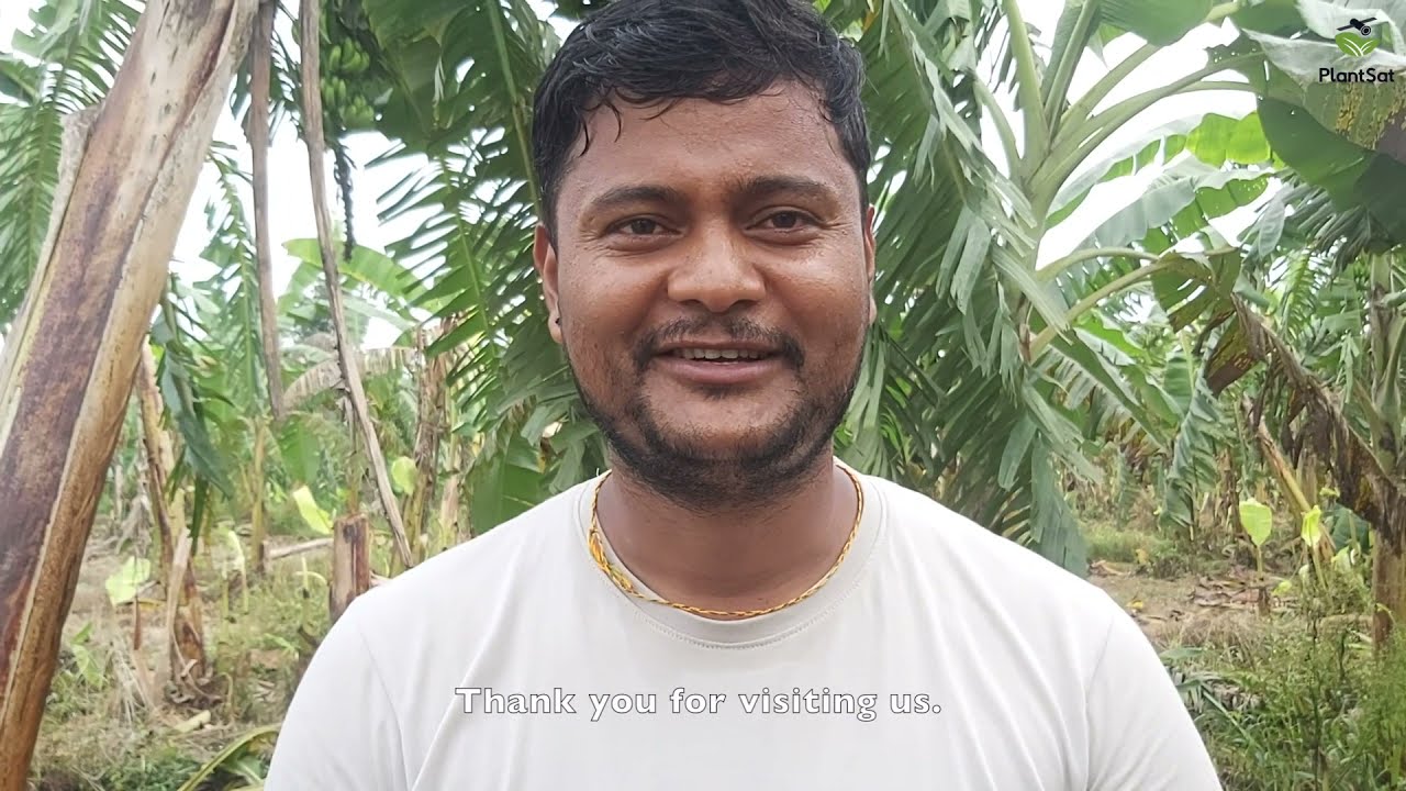 Farmer Interaction 1: Commercial Banana + Maize Farmer