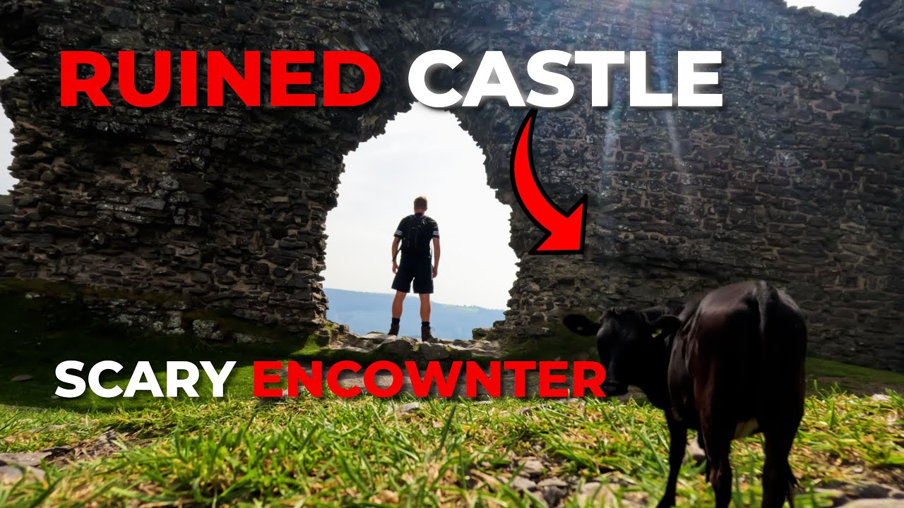 Hike To A Welsh Castle with Scary EnCOWnter