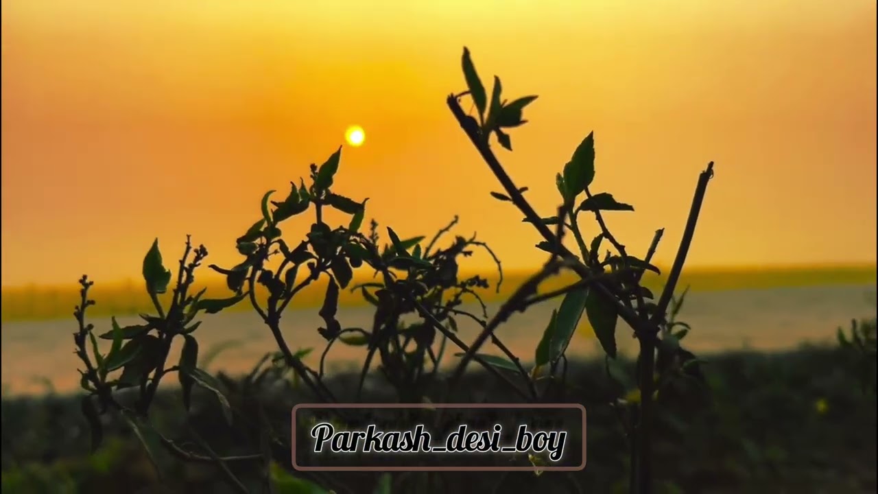 Village life morning view and sunset view 🌅🌄#nature #beatifulnature #villagelife #viwes #farming 