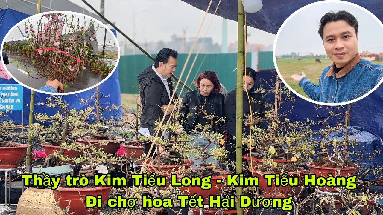 Thầy trò Kim Tiểu Long - Kim Tiểu Hoàng đi chợ hoa Tết Hải Dương