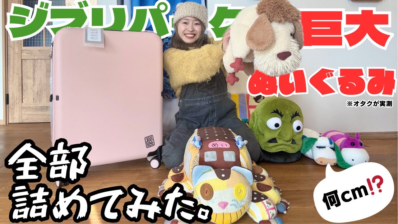 【実測検証】ジブリパーク巨大ぬいぐるみは何cm⁉️パッキングの神がスーツケースに詰めてみた🧳