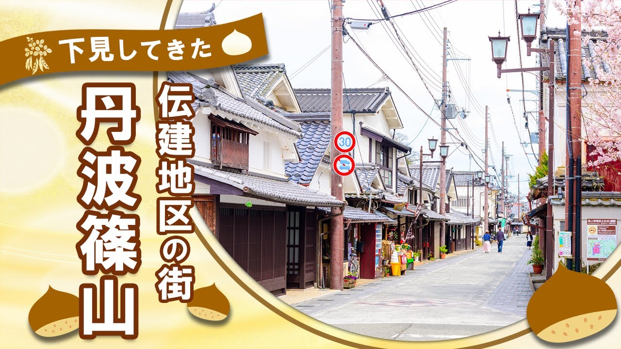 【丹波篠山】移住の下見をしてきた（町の歴史解説つき）