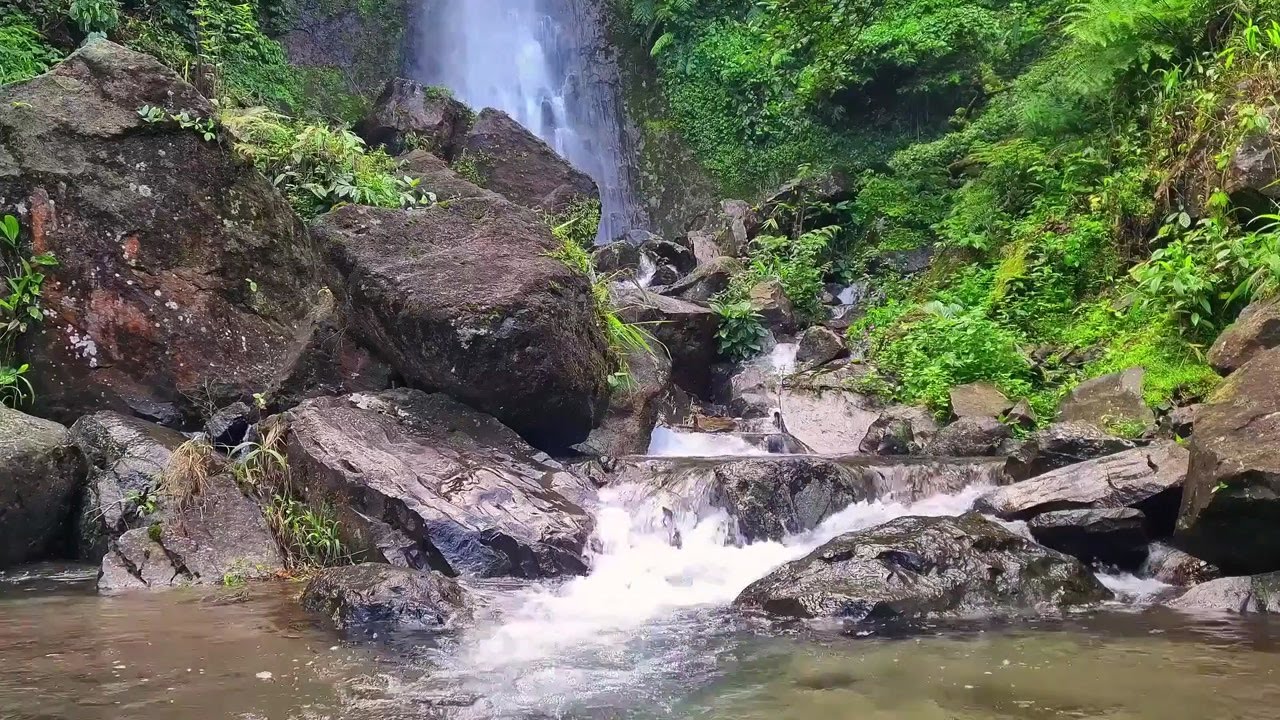 Soft Stream White Noise | Relaxing Water Flow for Deep Focus and Inner Calm
