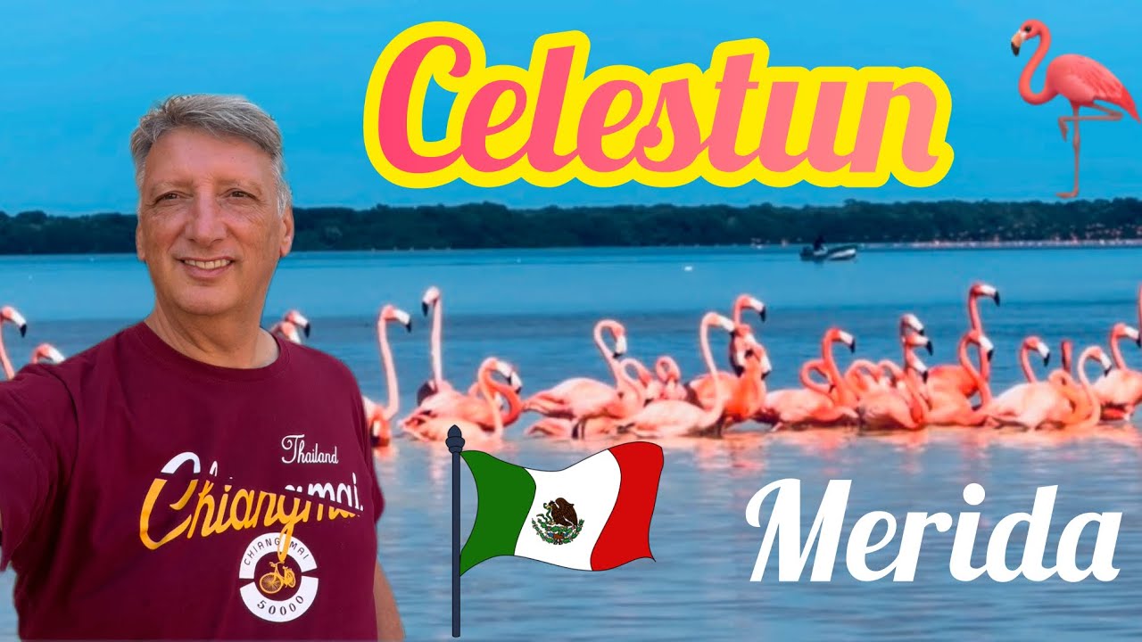 Celestun- Flamingo 🦩 route 😎🌸🇲🇽☀️