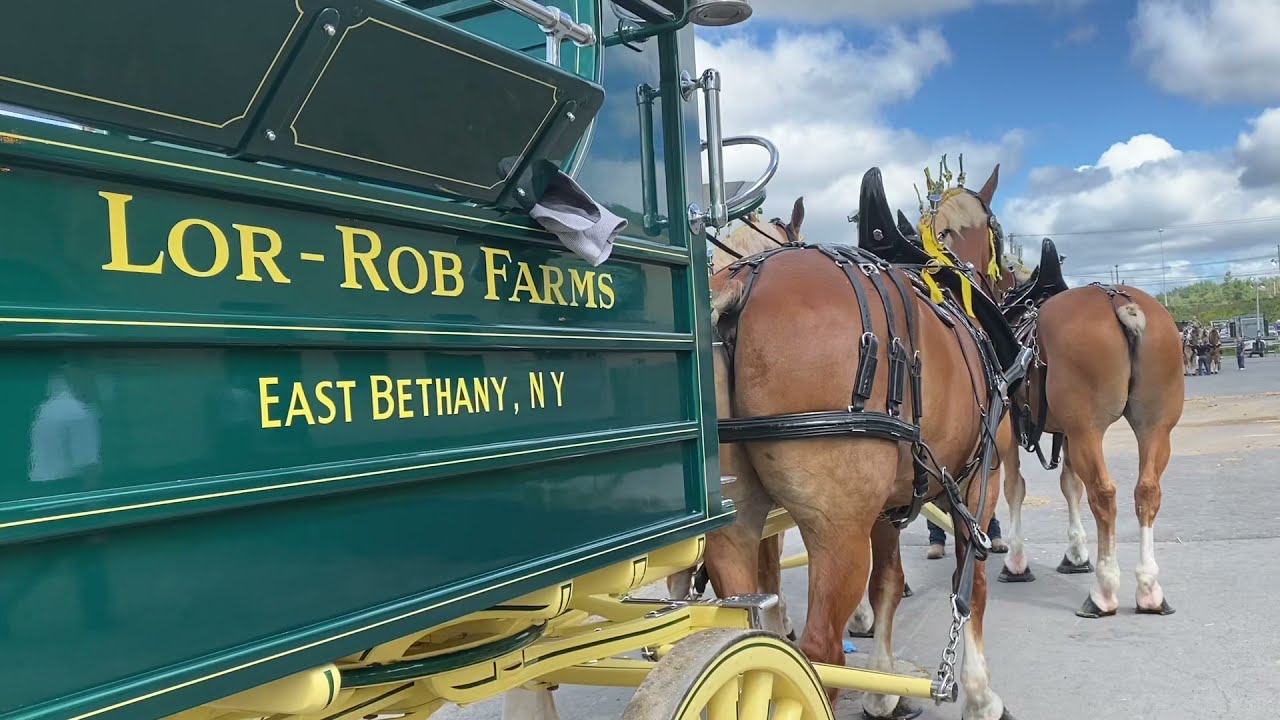 Six-Horse Hitch NYS Fair