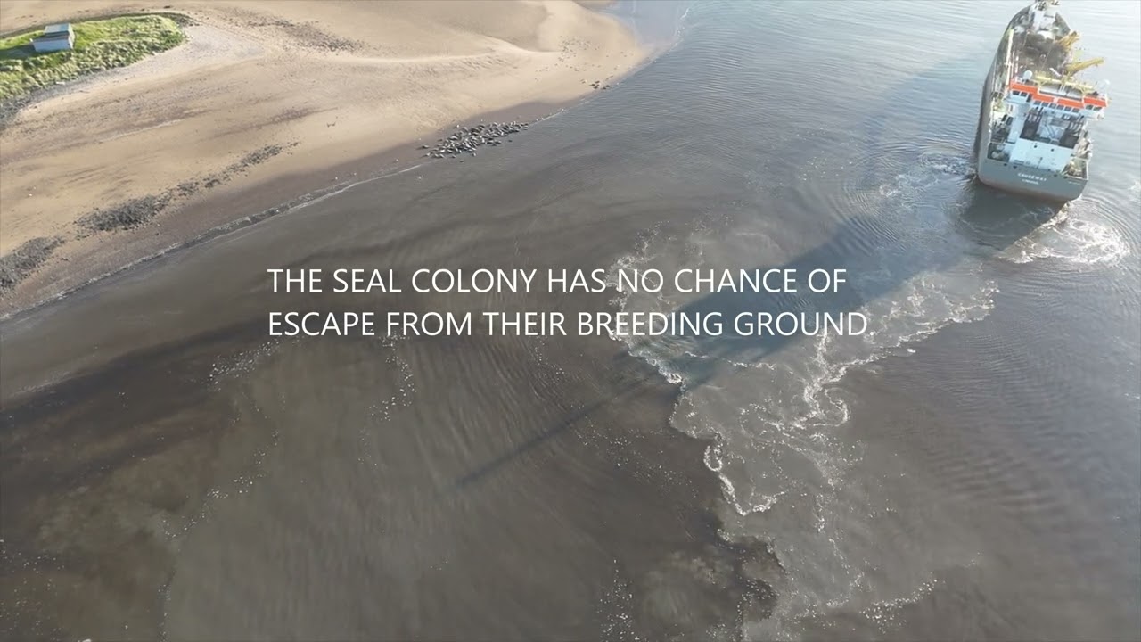 The dredgers Causeway and Magnor in Seaton channel Teesmouth Part 2