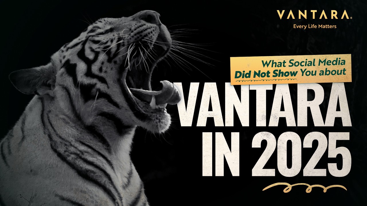 Vantara Wrapped 2025 | The Moments We Rarely Show