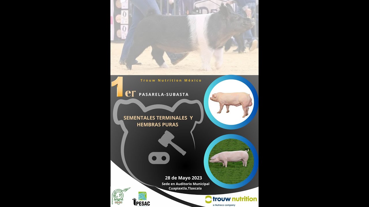 Primer Pasarela-Subasta Porcina Tlaxcala 2023 BY TROUW NUTRITION MEXICO