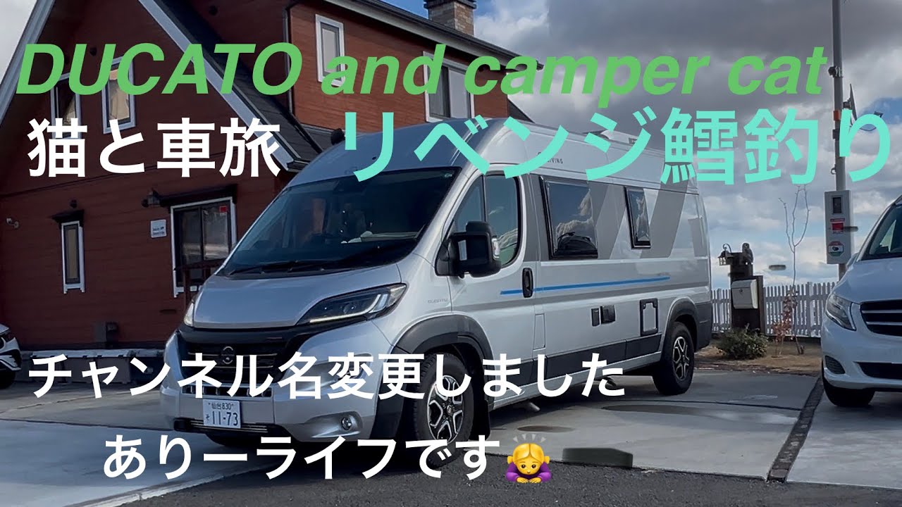 [キャンピングカーで猫と旅]リベンジ鱈釣り牡鹿前編