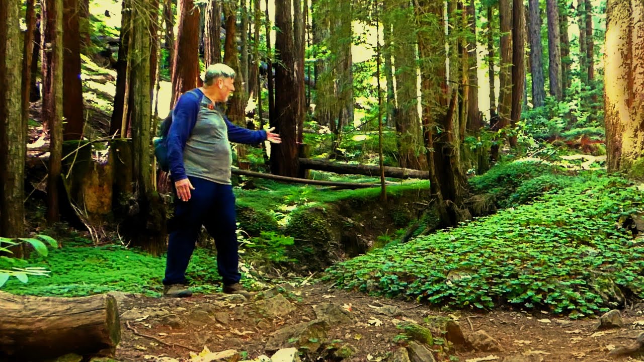 Santa Cruz County - FALL CREEK HIKE