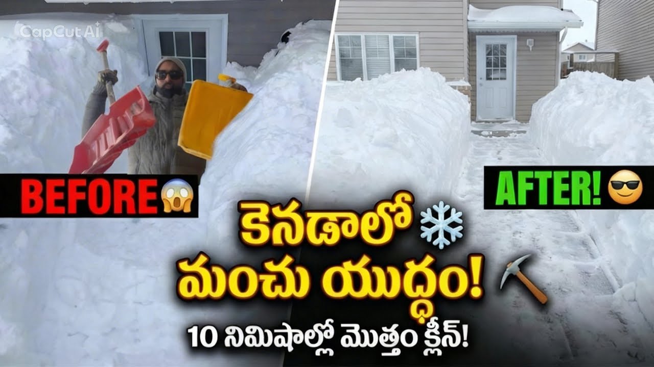 Owner in India…Labour in Canada ! Back broken!  Snow Rules in western countries.