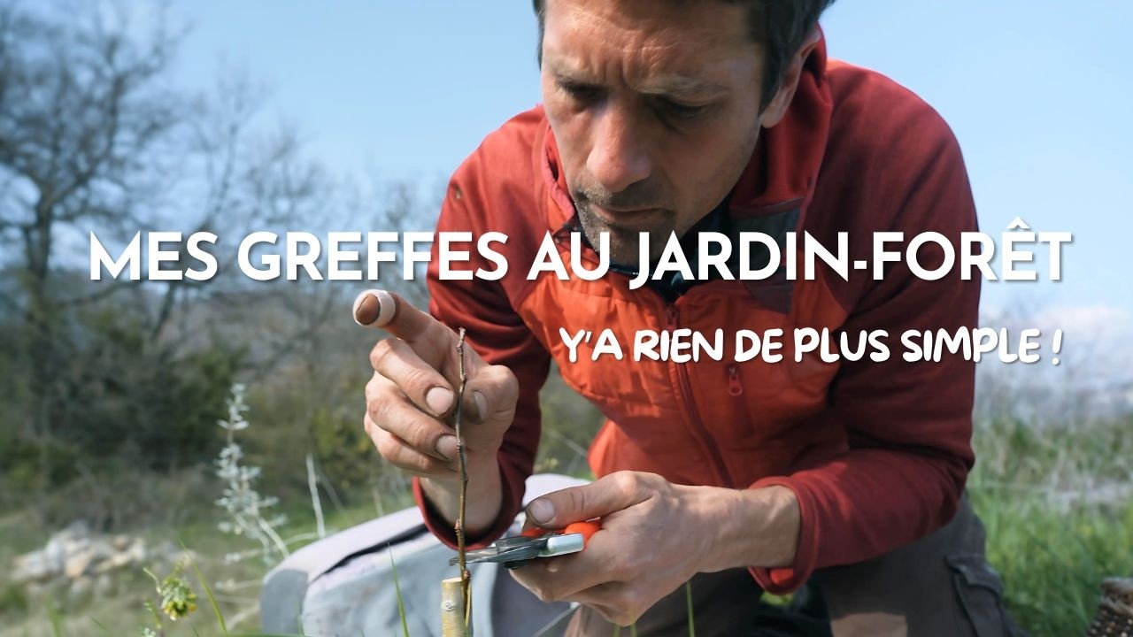 Greffe au jardin-forêt des Alvéoles : Multiplier à l'infini pour créer l'abondance !